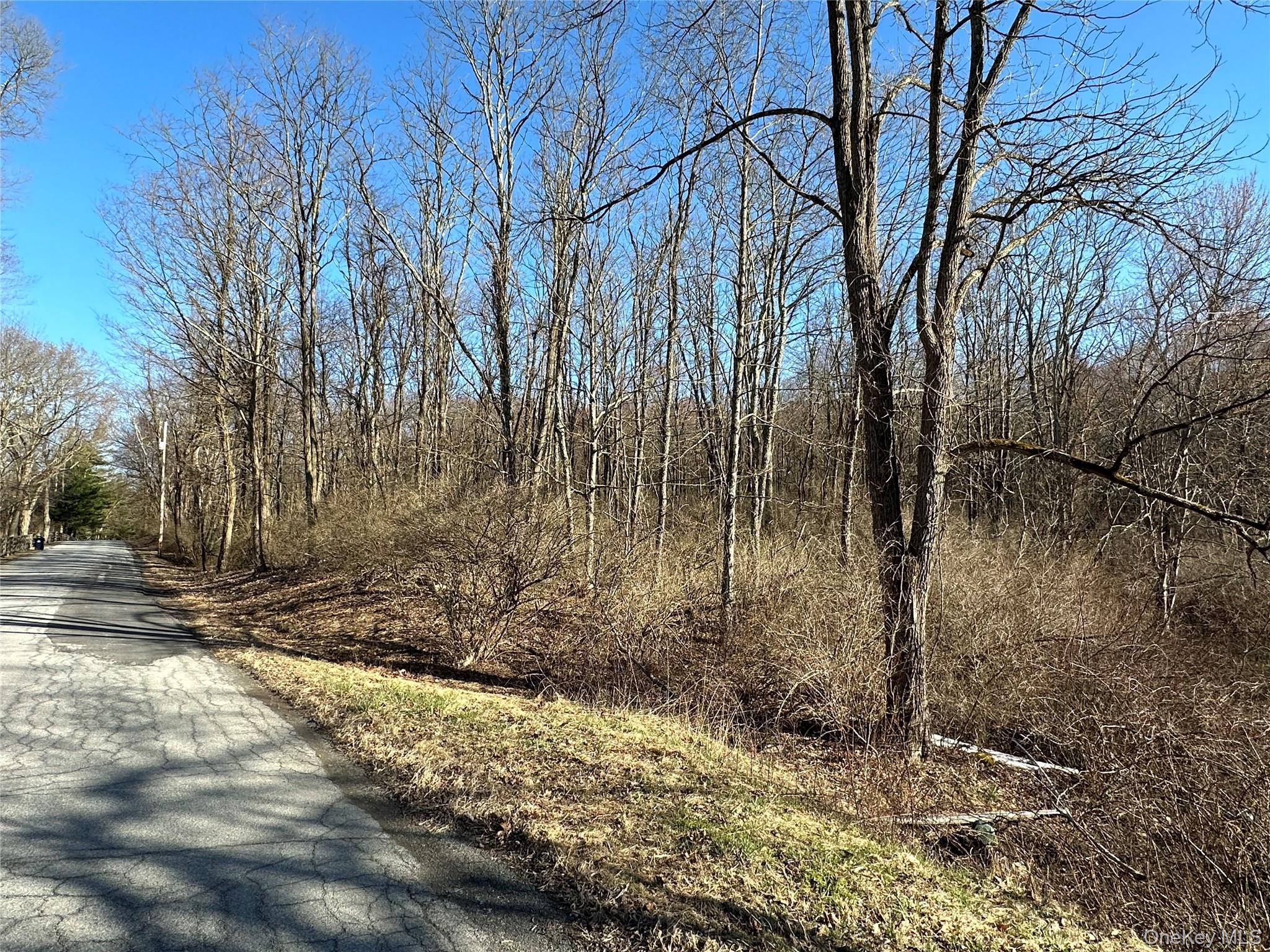 Schoolhouse Road Staatsburg, NY 12580 - Photo 6 of 10 a backyard of a house with lots of green space