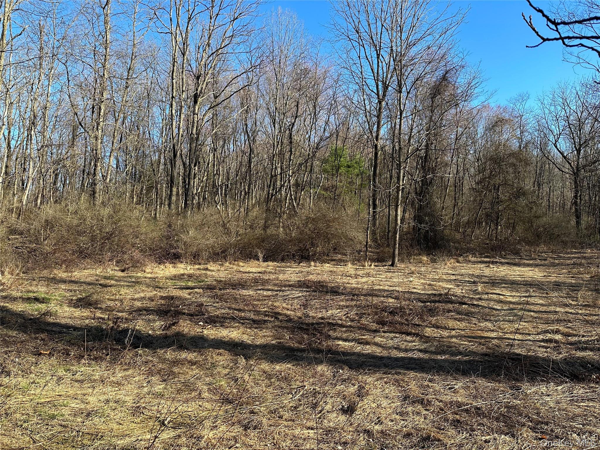 Schoolhouse Road Staatsburg, NY 12580 - Photo 7 of 10 a view of a pool with a yard