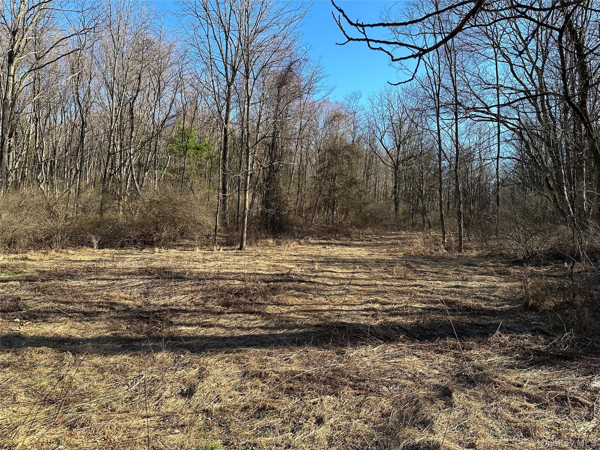 Schoolhouse Road Staatsburg, NY 12580 - Photo 8 of 10