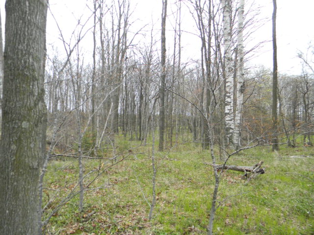 6320 Jorns Road Jacksonport, WI 54209 - Photo 5 of 6