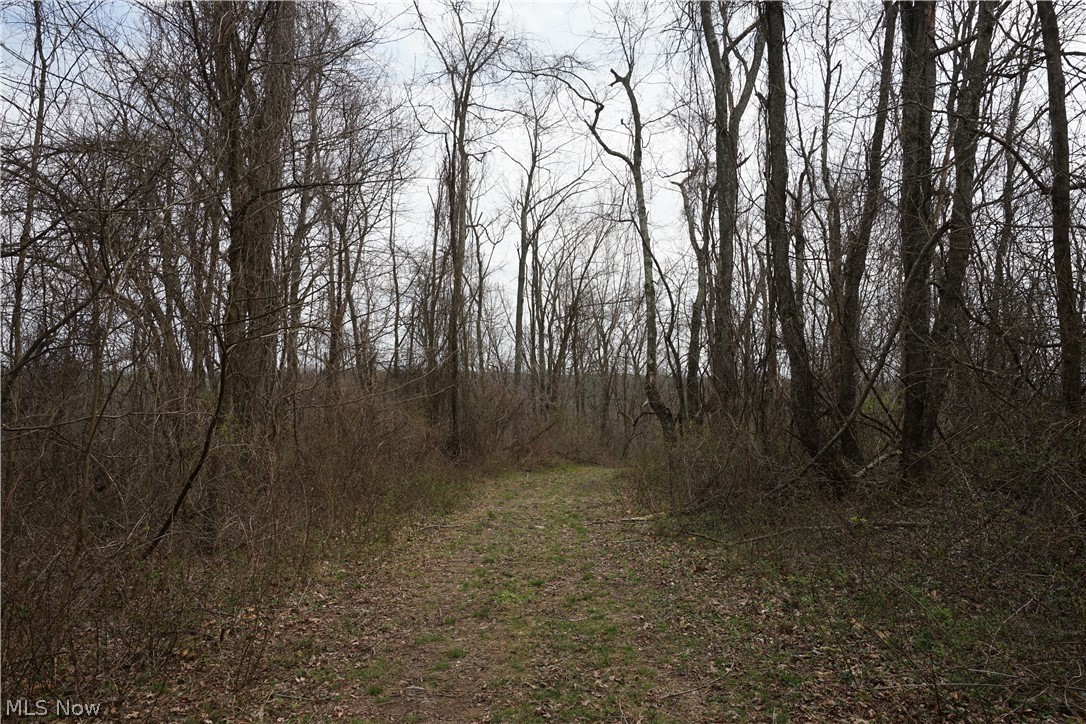 56835 Stephens Road Jacobsburg, OH 43933 - Photo 32 of 50