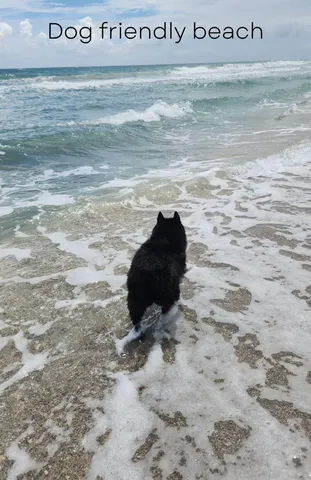 $2,750,000 | 115 Olympus Way, Jupiter, FL 33477