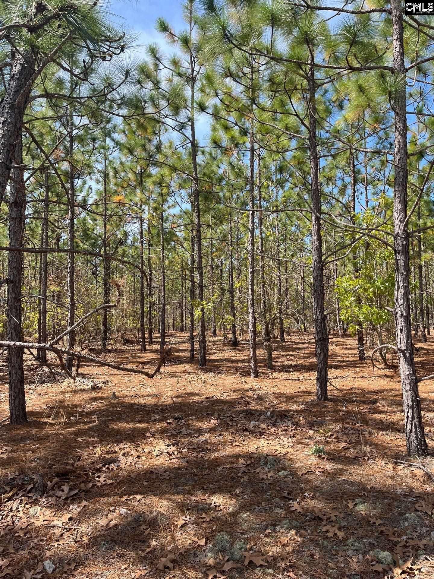 5 Beaver Dam Road Cassatt, SC 29032 - Photo 14 of 17