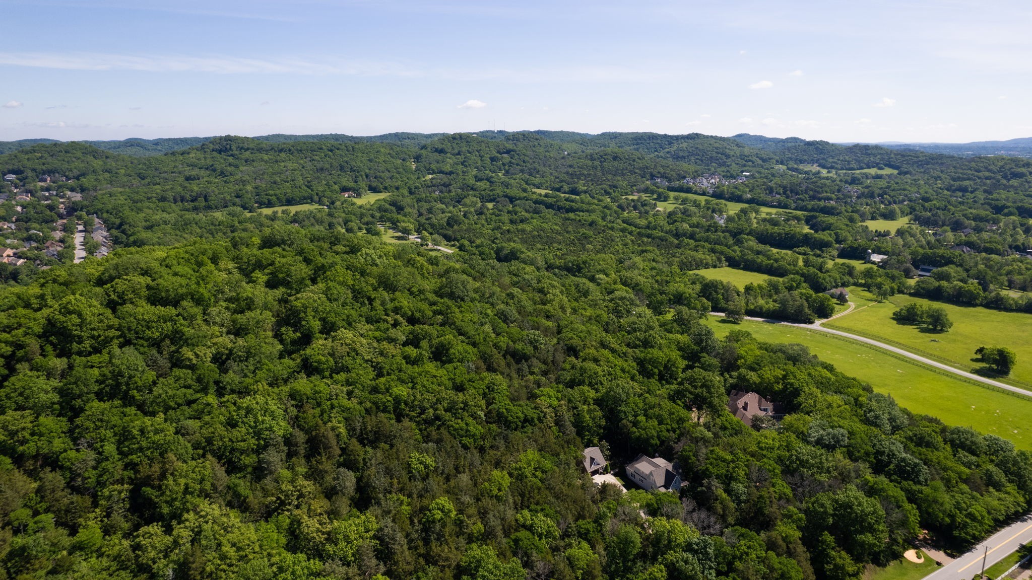 236 Spencer Creek Road Franklin, TN 37069 - Photo 15 of 16 a view of a lush green field with mountains in the background