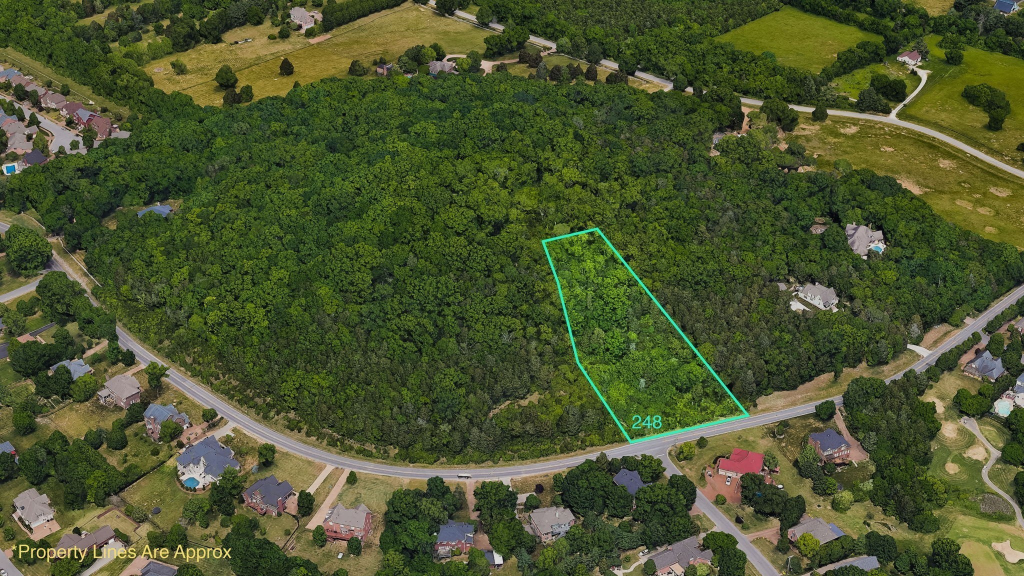 236 Spencer Creek Road Franklin, TN 37069 - Photo 10 of 16 a view of a backyard