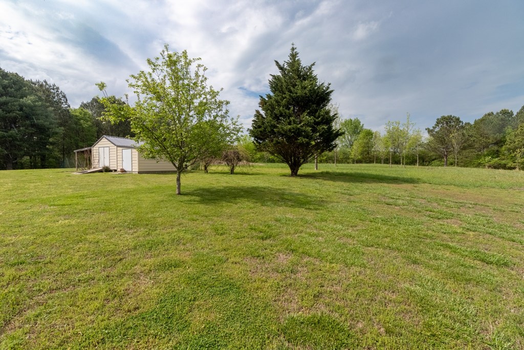 540 Long Road Chatsworth, GA 30705 - Photo 10 of 27 Gallery Image 10