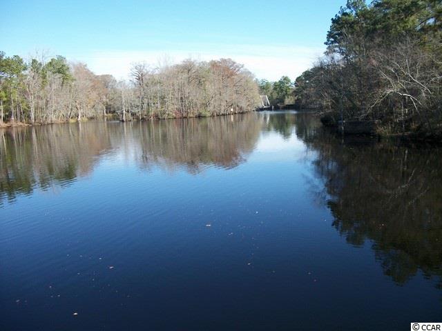 1333 Valor Road Conway, SC 29527 - Photo 24 of 25 Gallery Image 24