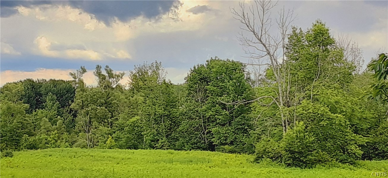 271 Snyder Road Newport, NY 13416 - Photo 25 of 41