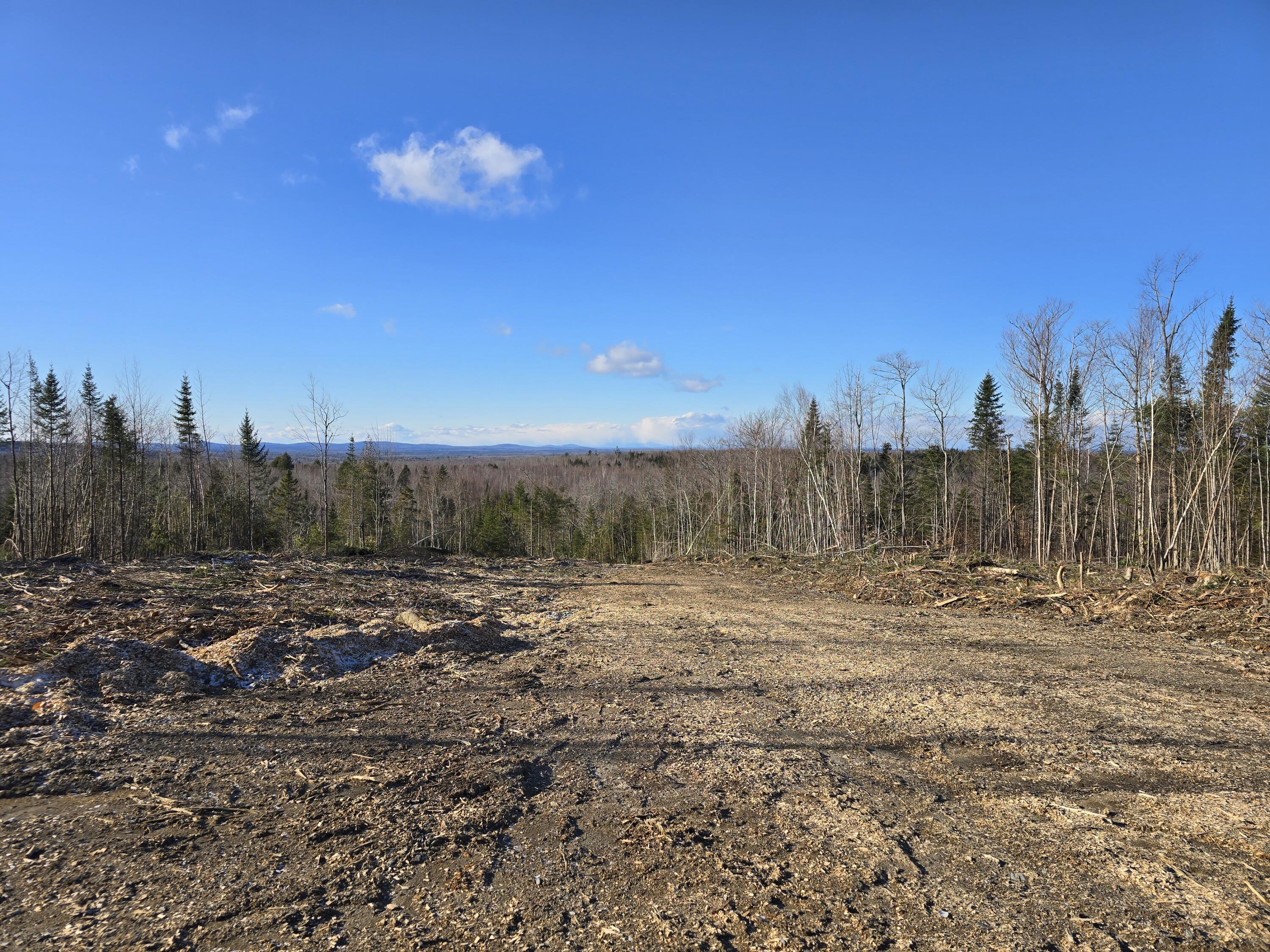 57-ac Sheepskin Road Carroll Plt, ME 04487 - Photo 4 of 9 20241213_120512
