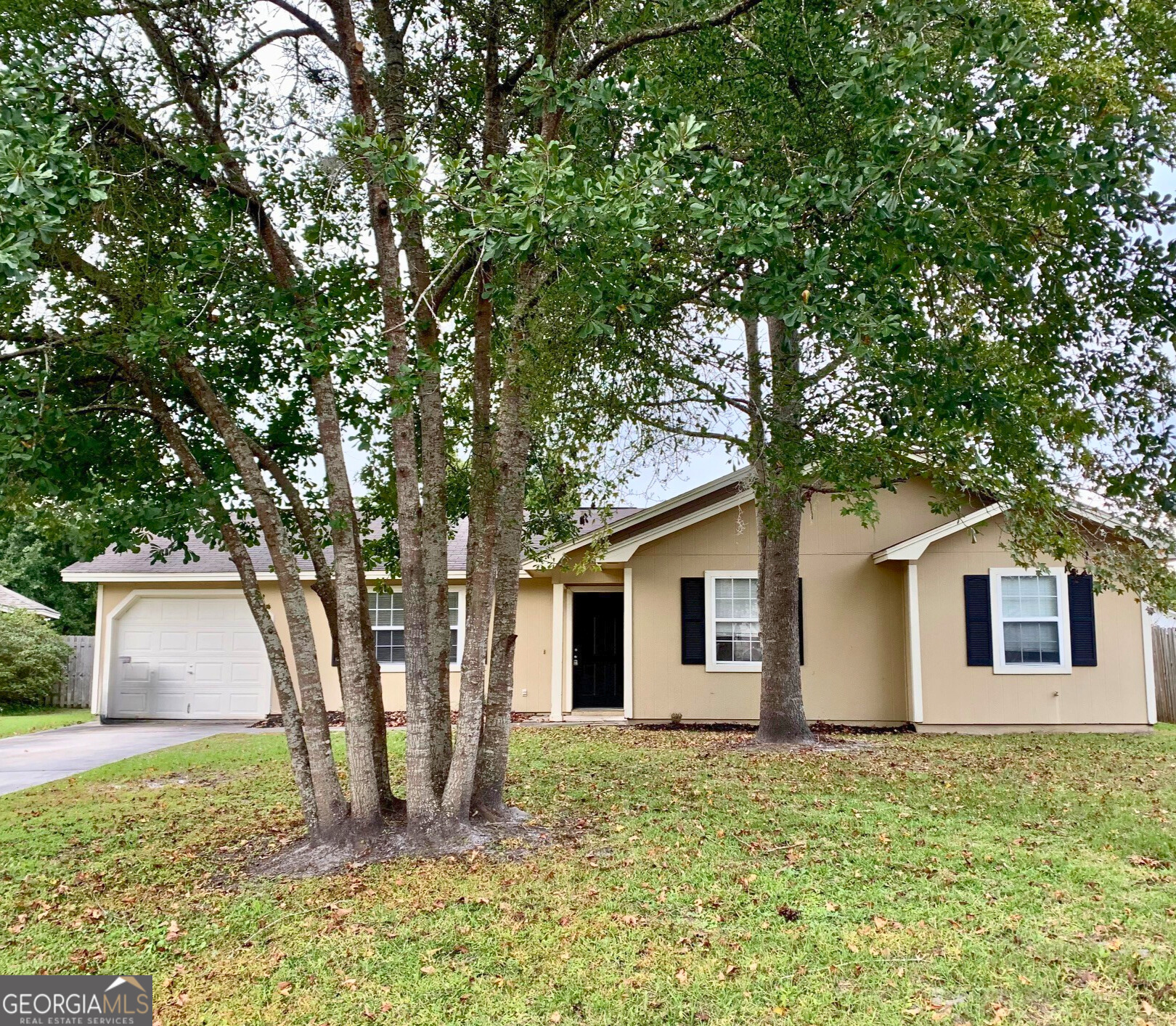 a backyard of a house with plants and large tree