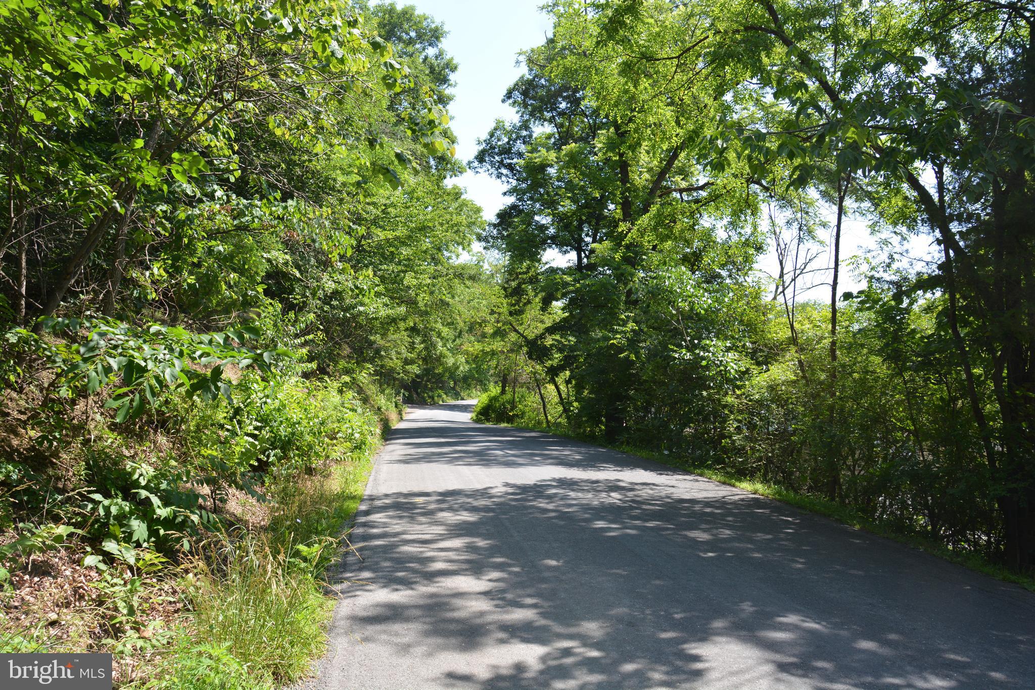 596 Back Creek Road Gore, VA 22637 - Photo 2 of 17 a view of a road with trees in front of it