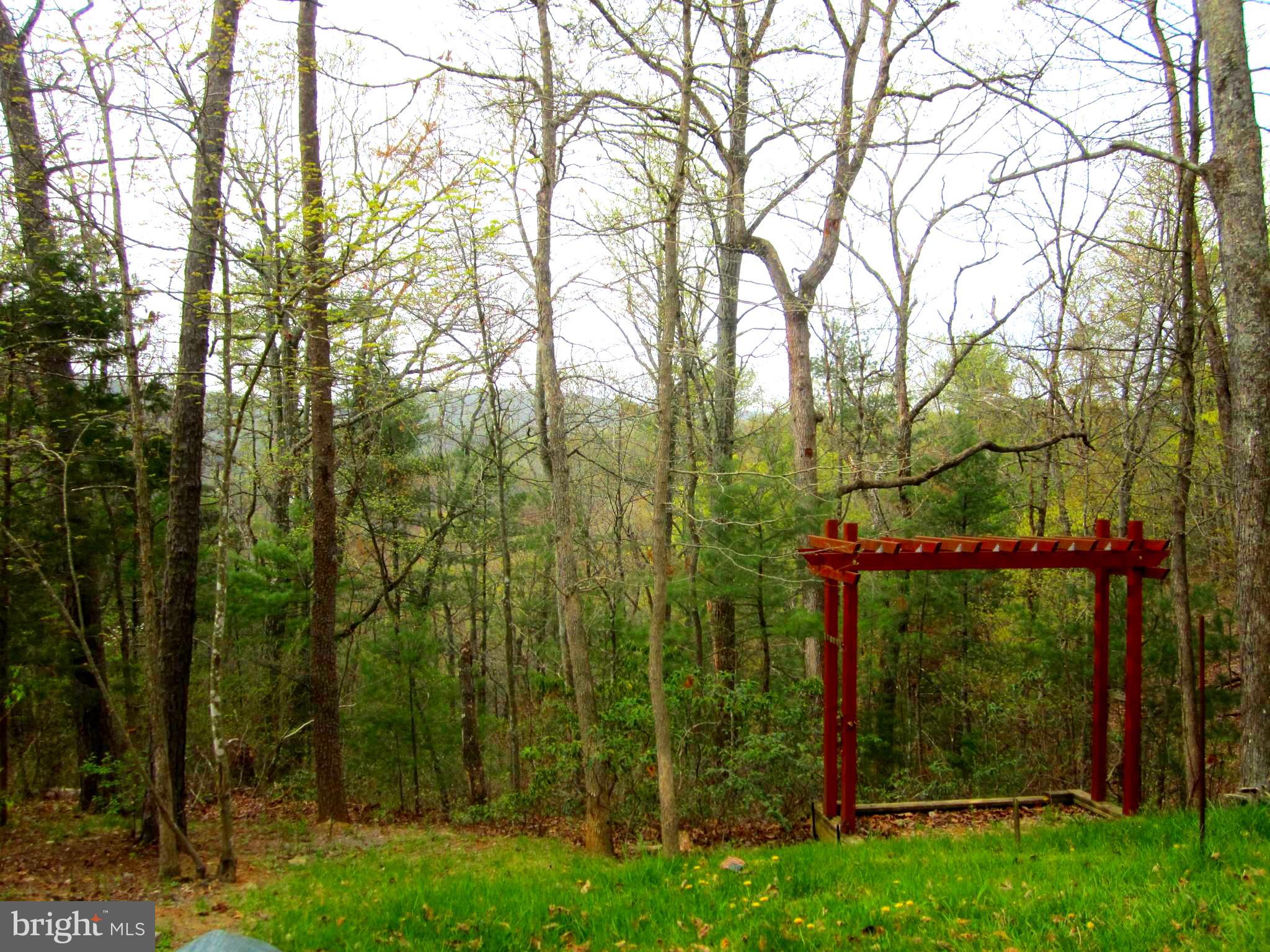 26 Killmon Road Basye, VA 22810 - Photo 3 of 40 Gallery Image 3