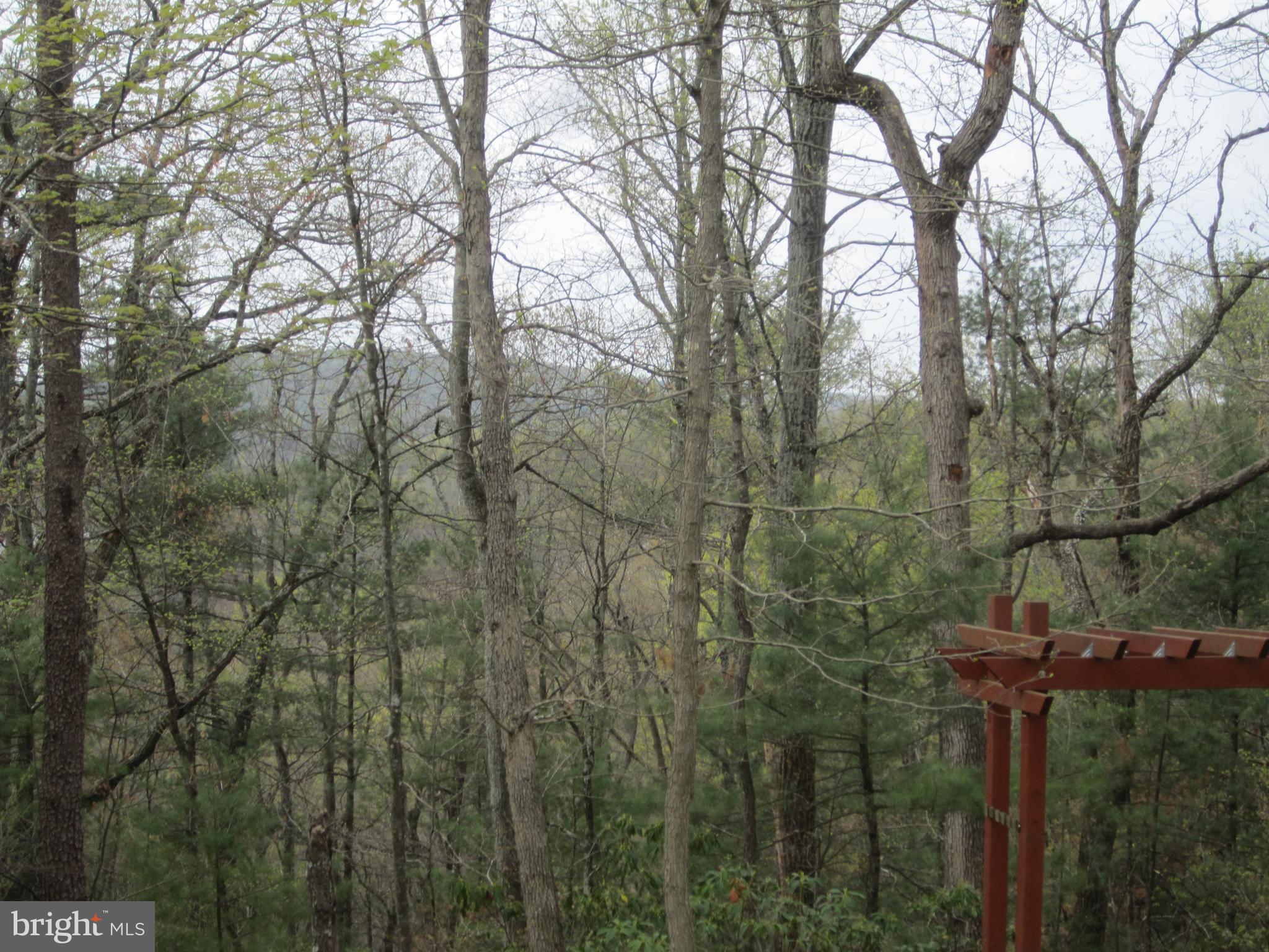 26 Killmon Road Basye, VA 22810 - Photo 40 of 40 Gallery Image 40
