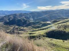0 Mt Fire Parkway Road Val Verde, CA 91384 - Photo 7 of 9 a view of a yard