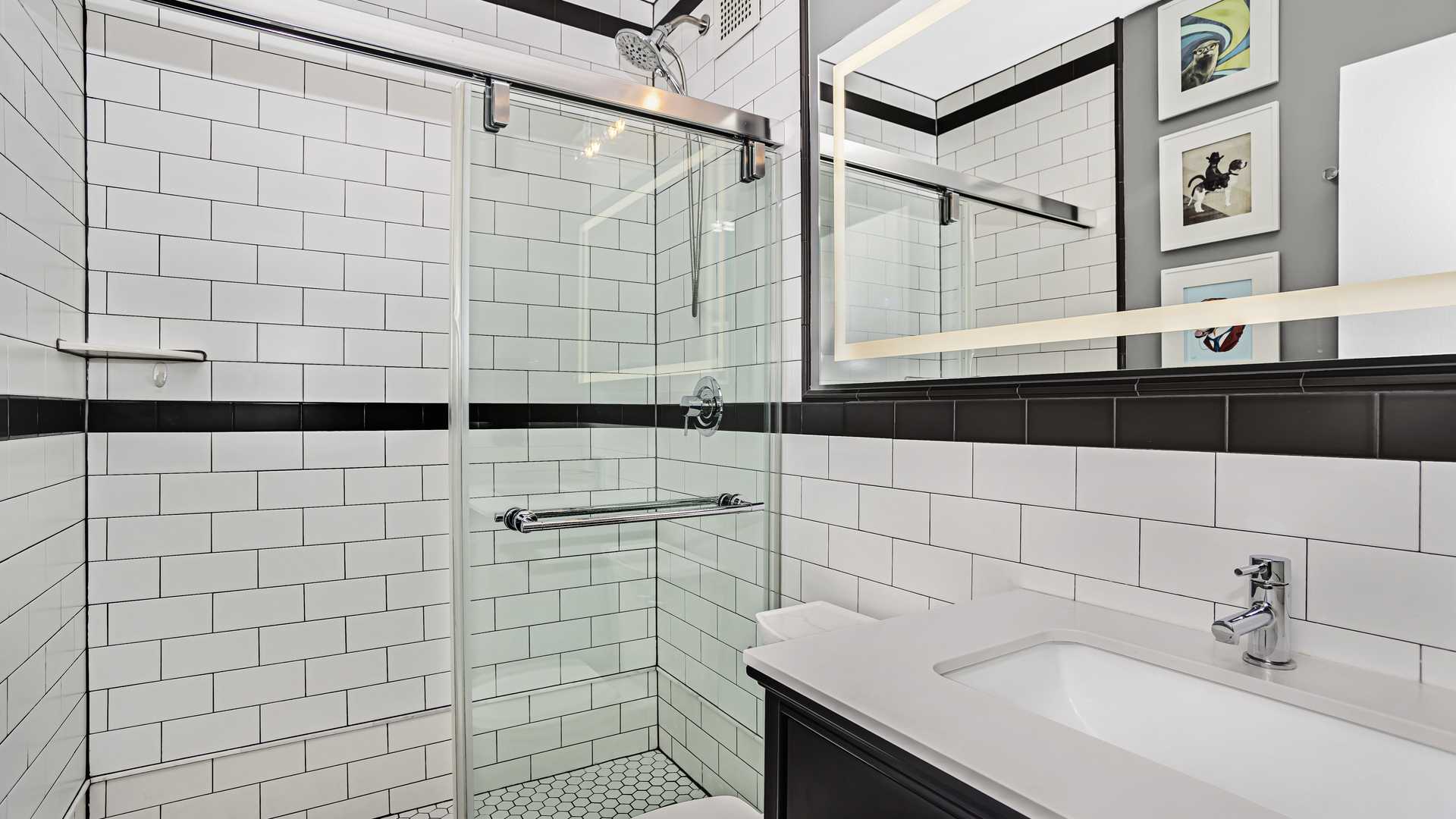 Undisclosed Address Chicago, IL 60657 - Photo 16 of 23 a bathroom with a sink and a shower