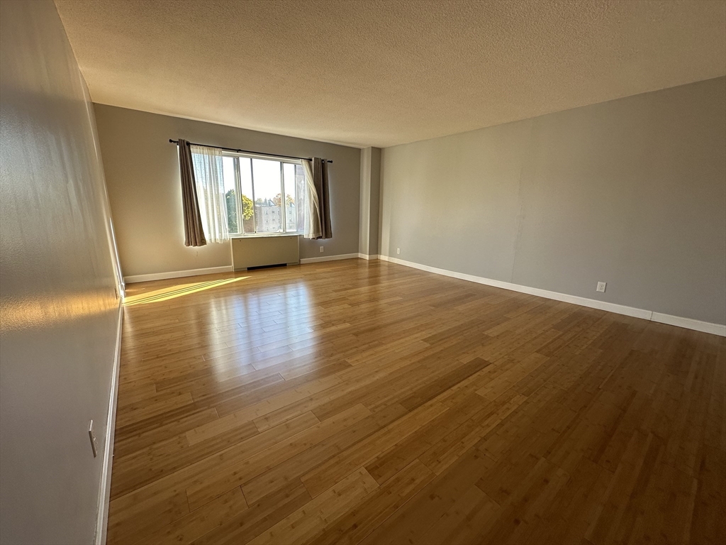 22 Chestnut Place, Unit 306 Brookline, MA 02445 - Photo 4 of 20