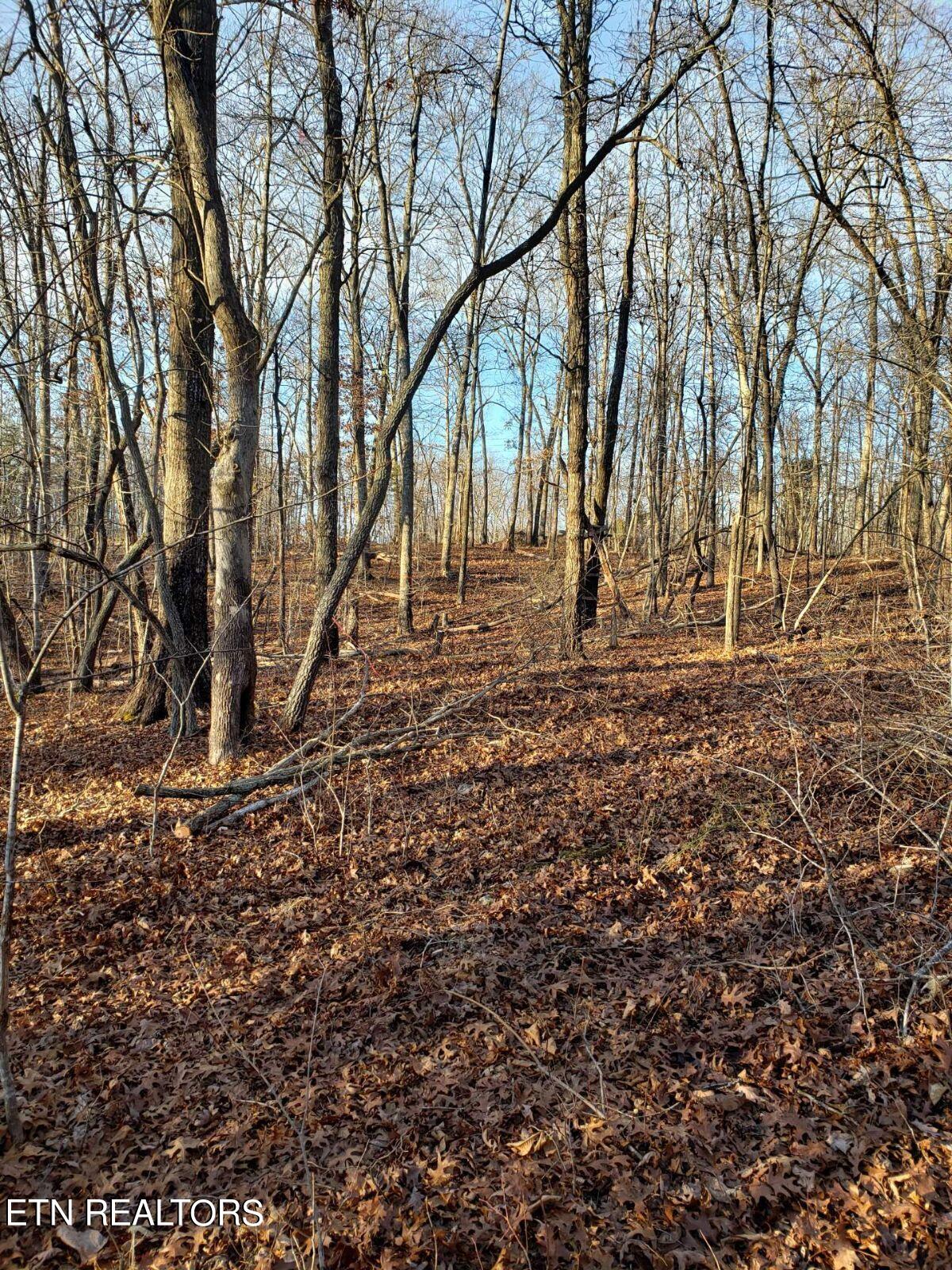 9076 Davis Ferry Road Loudon, TN 37774 - Photo 1 of 6 Pic 2