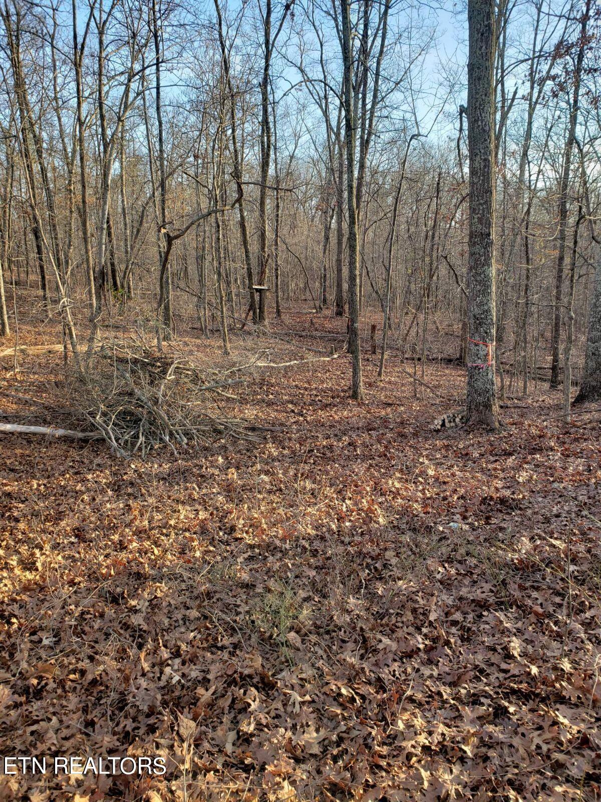 9076 Davis Ferry Road Loudon, TN 37774 - Photo 2 of 6 Pic 1