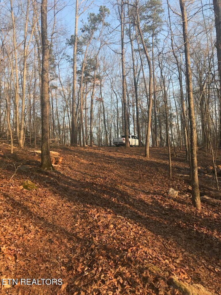 9076 Davis Ferry Road Loudon, TN 37774 - Photo 3 of 6 Pic 3