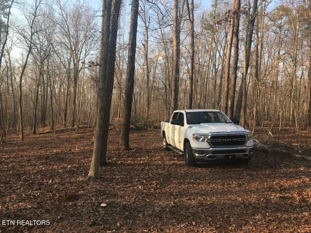9076 Davis Ferry Road Loudon, TN 37774 - Photo 5 of 6 Highest area