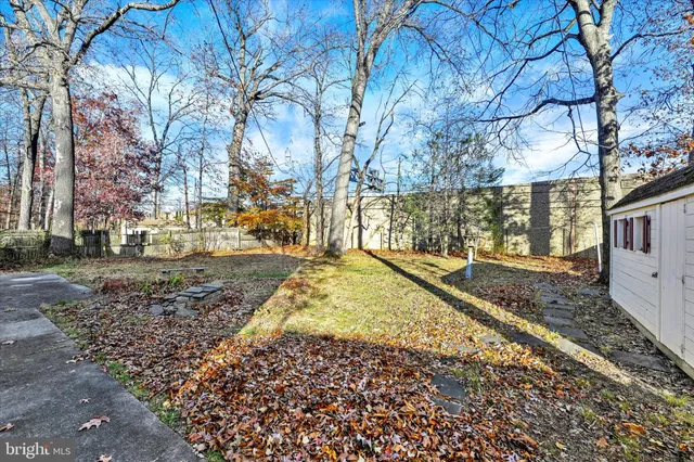 a view of yard with tree in the background