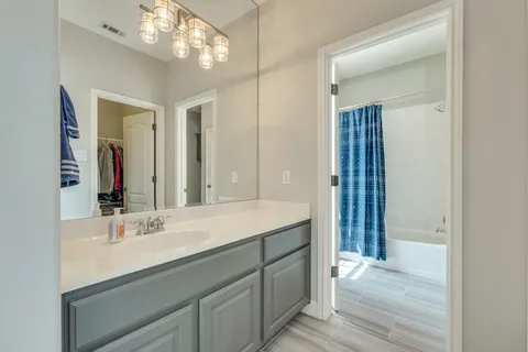 a view of a backyard with large trees