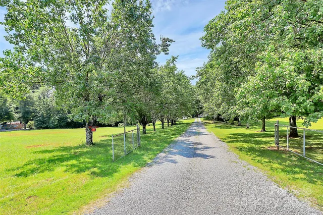 a view of a park with large trees