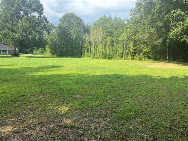 Tbd McManus Road Tickfaw, LA 70466 - Photo 1 of 3