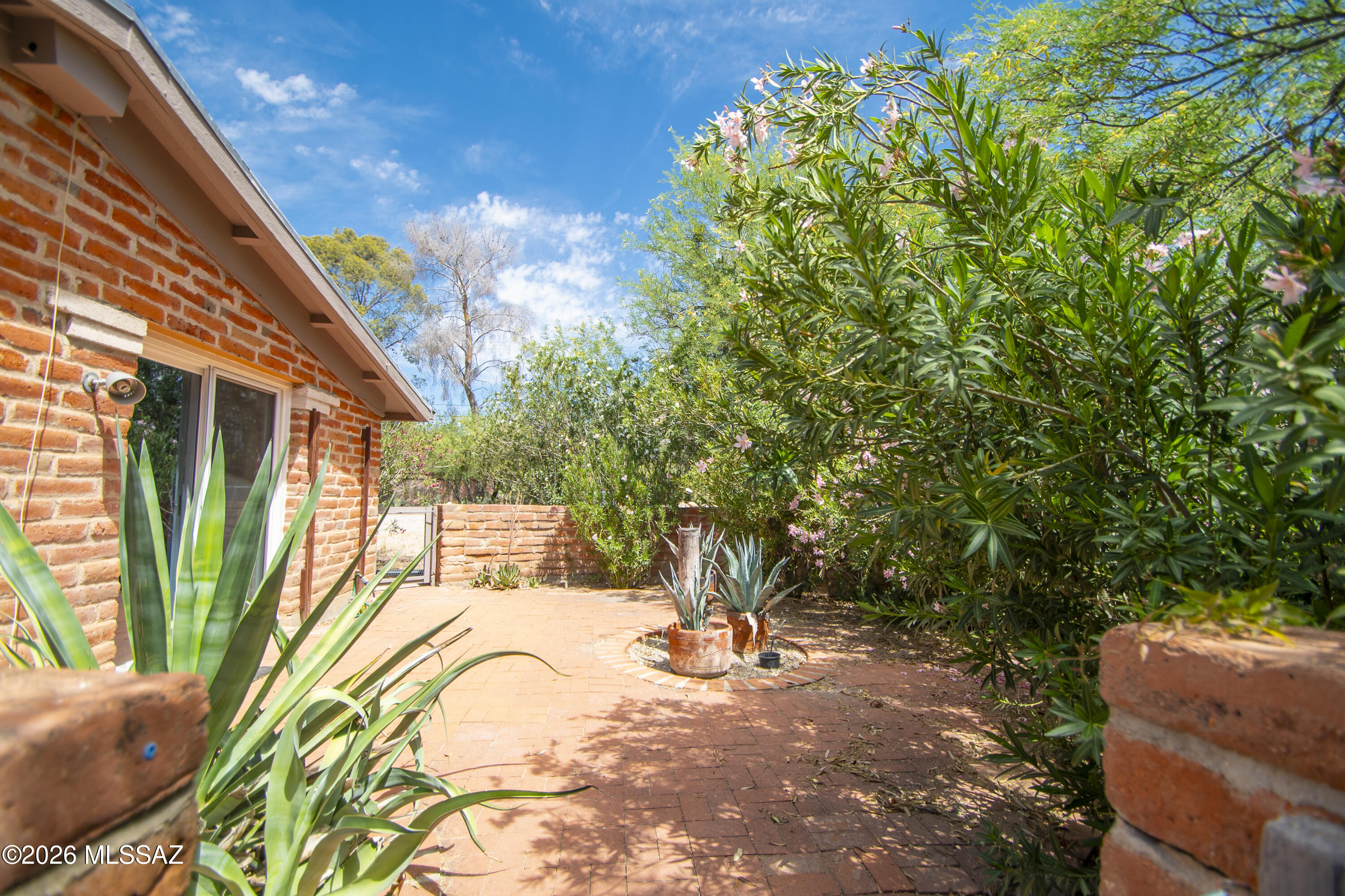 4130 East River Road Tucson, AZ 85718 - Photo 15 of 46 a view of a backyard of the house