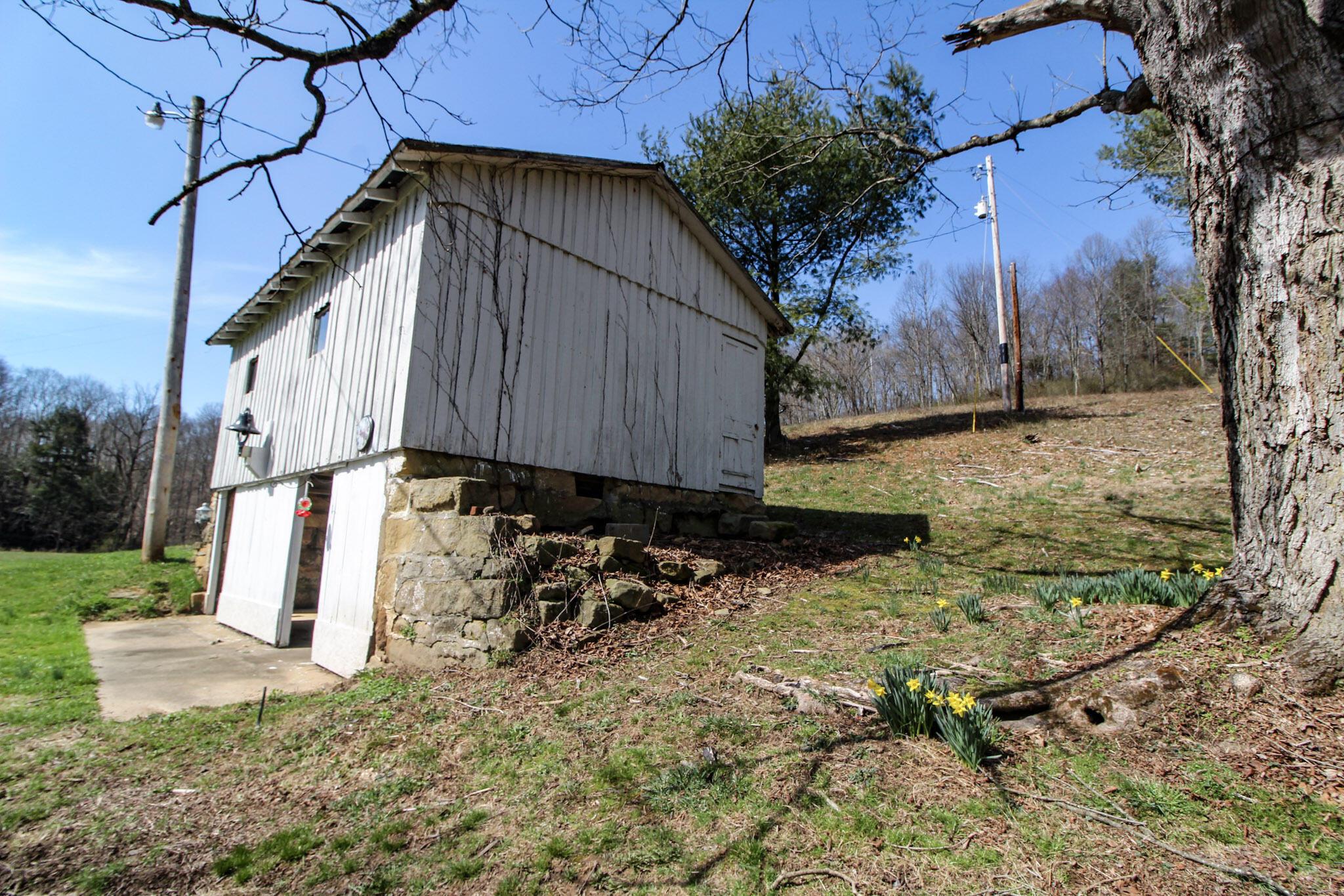 39353 Walnut Camp Road Sardis, OH 43946 - Photo 6 of 42 6-IMG_8139