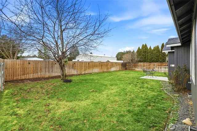 a view of backyard with tree