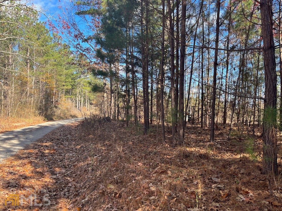845 Smith Chapel Road Bowdon, GA 30108 - Photo 1 of 1 a view of outdoor space with trees