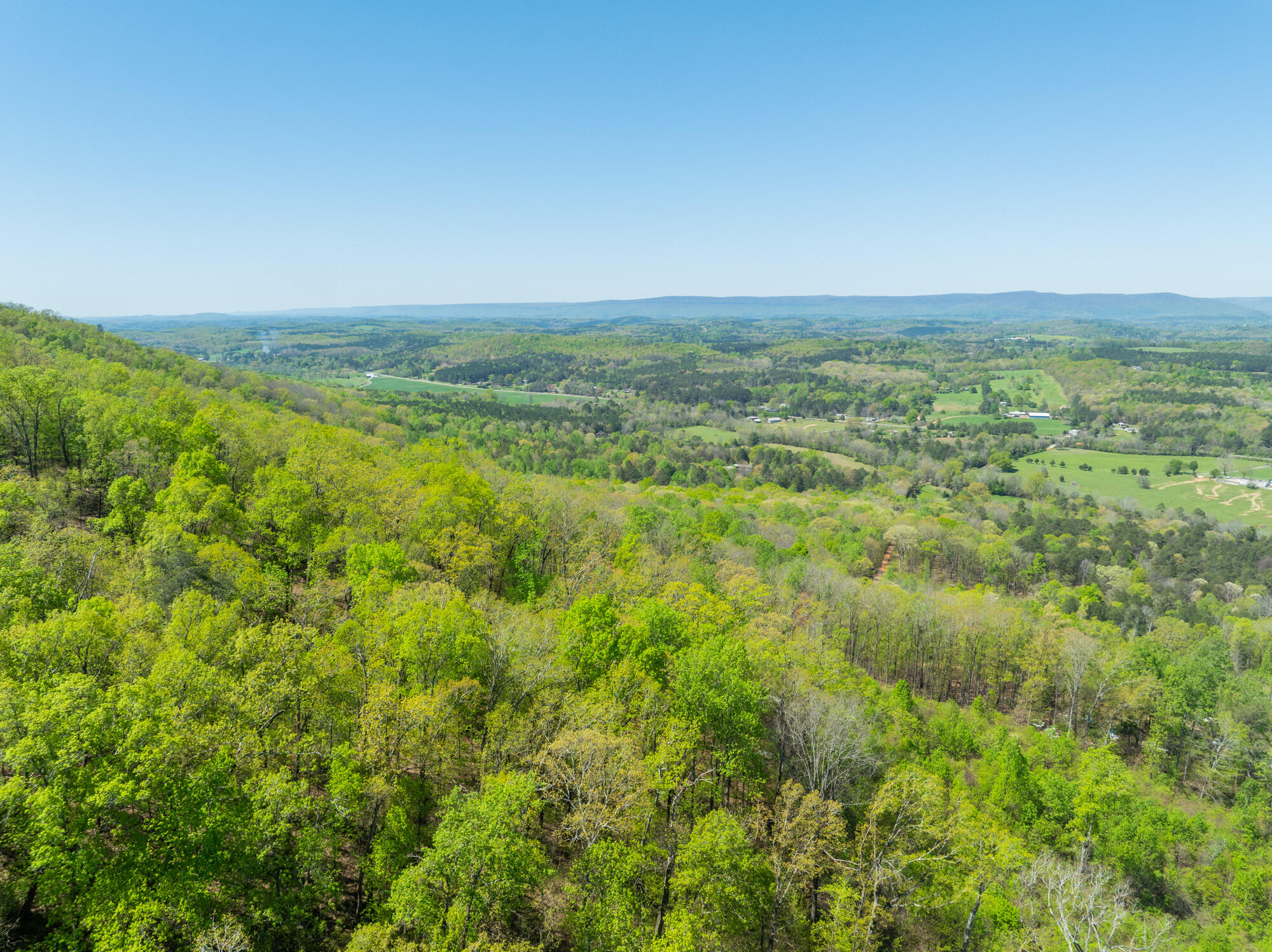 0 Jack Drive LaFayette, GA 30728 - Photo 11 of 12 Jack-Rd-Land-Photos-13