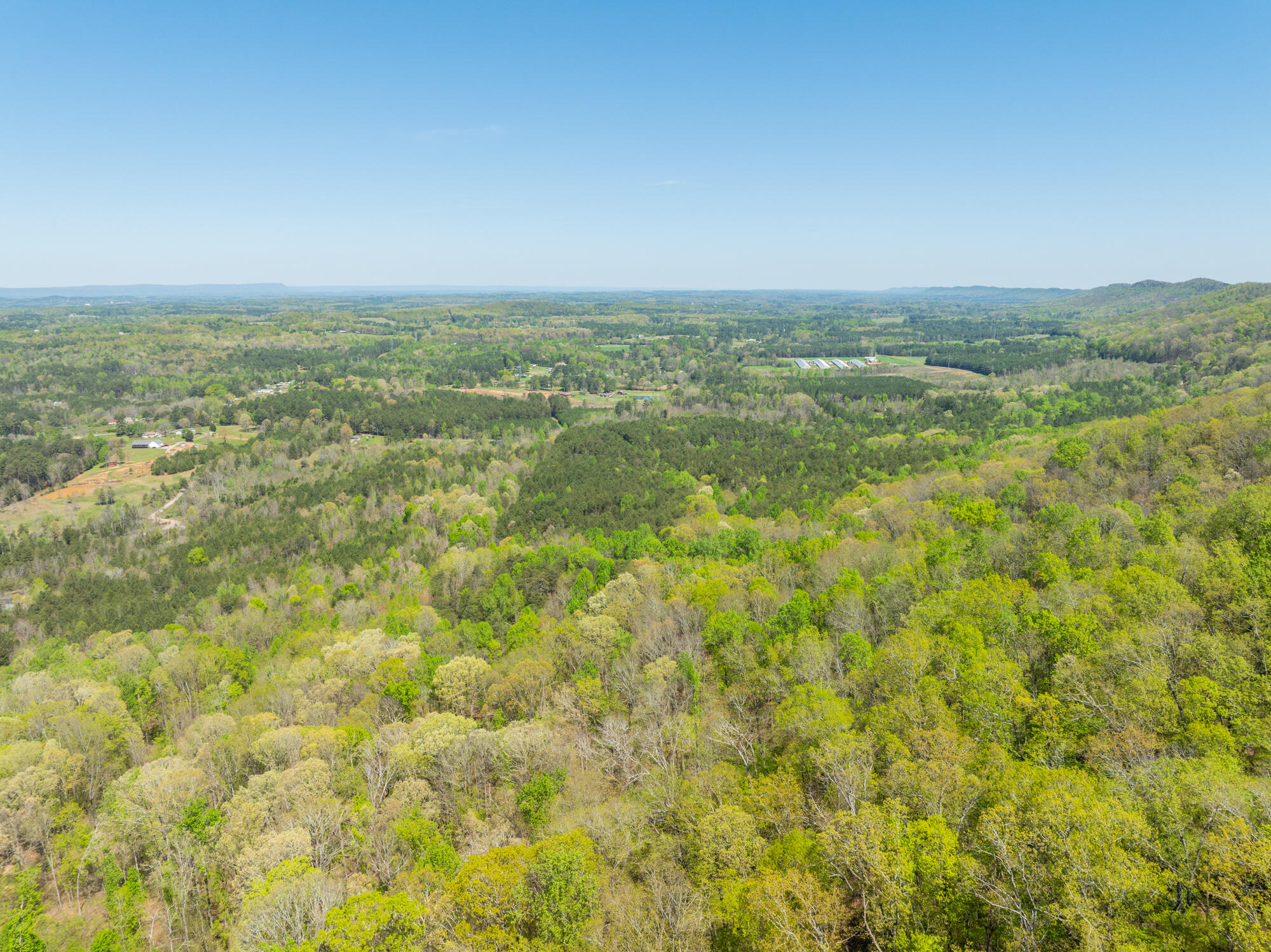 0 Jack Drive LaFayette, GA 30728 - Photo 12 of 12 Jack-Rd-Land-Photos-14
