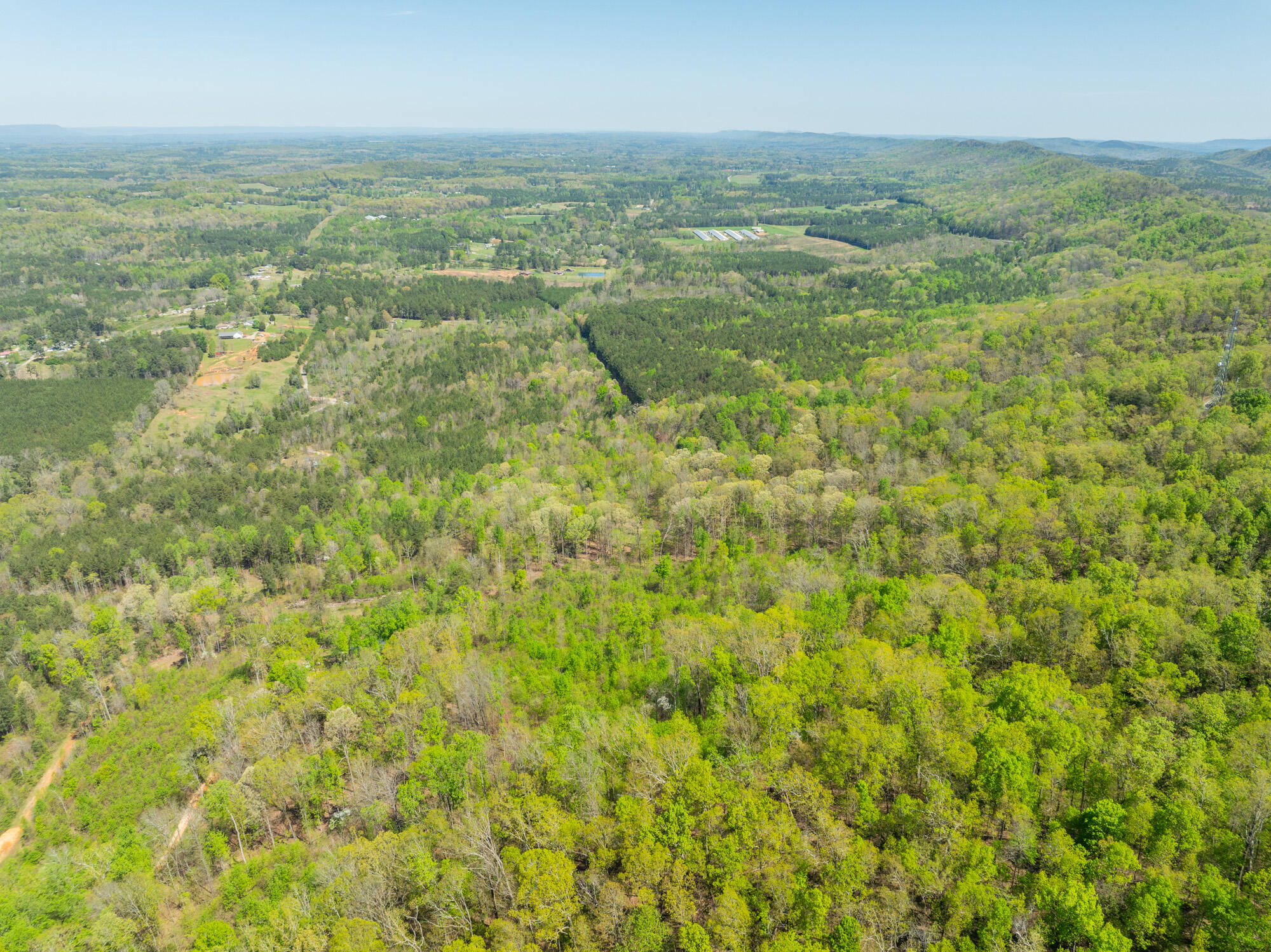 0 Jack Drive LaFayette, GA 30728 - Photo 7 of 12 Jack-Rd-Land-Photos-7