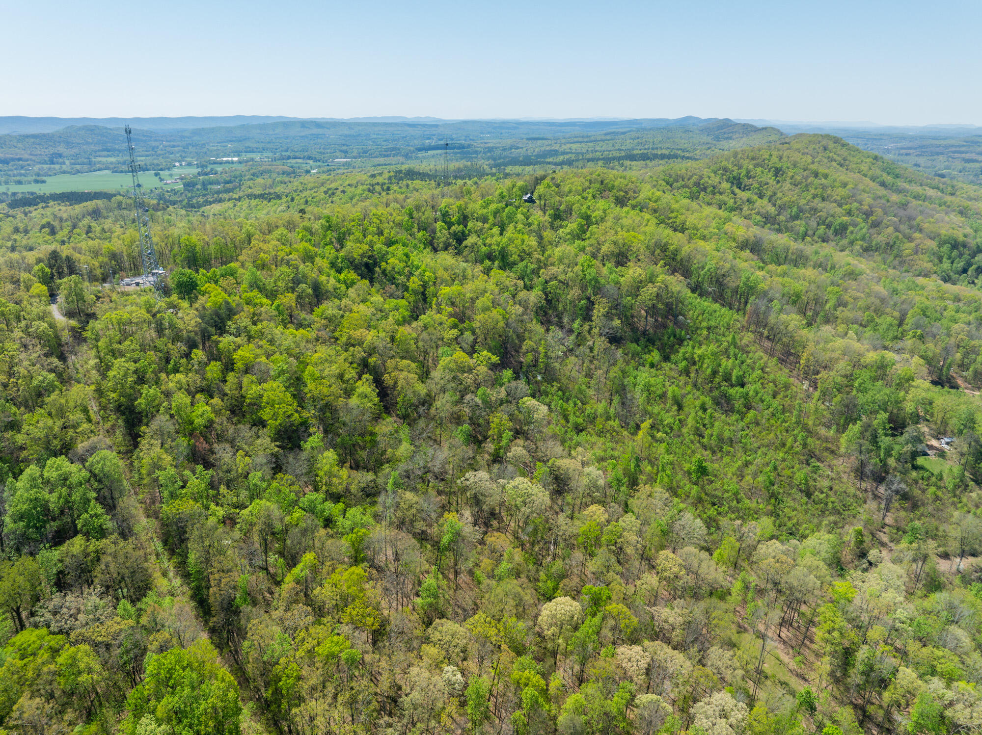 0 Jack Drive LaFayette, GA 30728 - Photo 10 of 12 Jack-Rd-Land-Photos-11