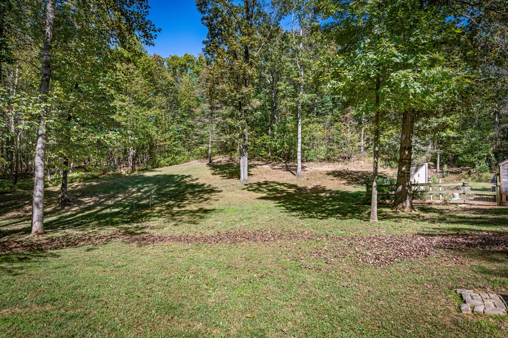 134 Ebenezer Road Ellijay, GA 30536 - Photo 5 of 85 Beautiful level and slightly rolling terrain of th