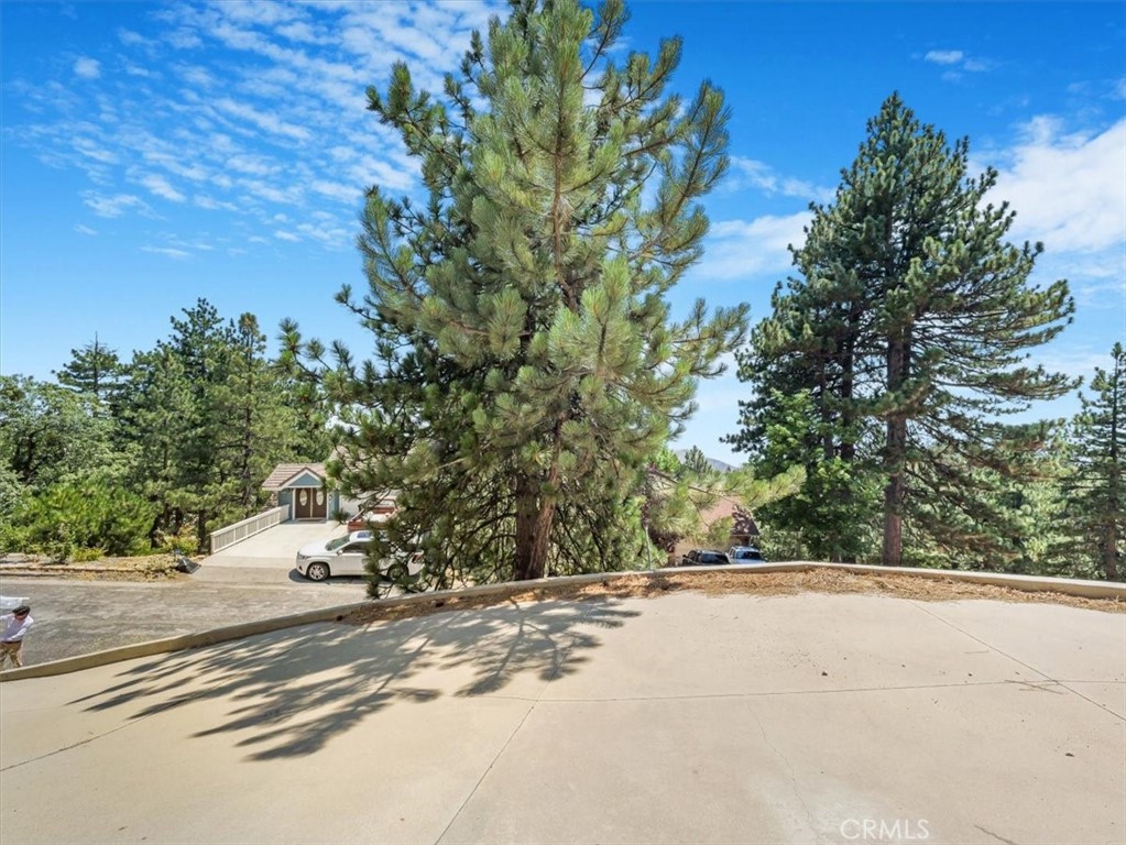 30134 Enchanted Way Running Springs, CA 92382 - Photo 25 of 46