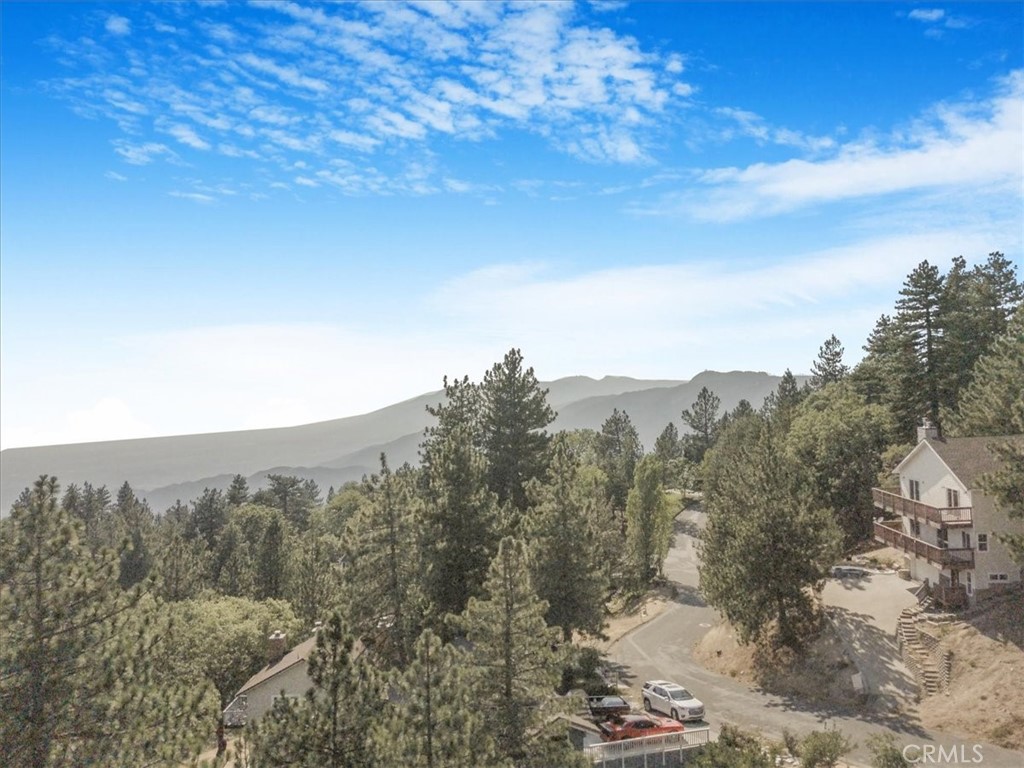 30134 Enchanted Way Running Springs, CA 92382 - Photo 3 of 46