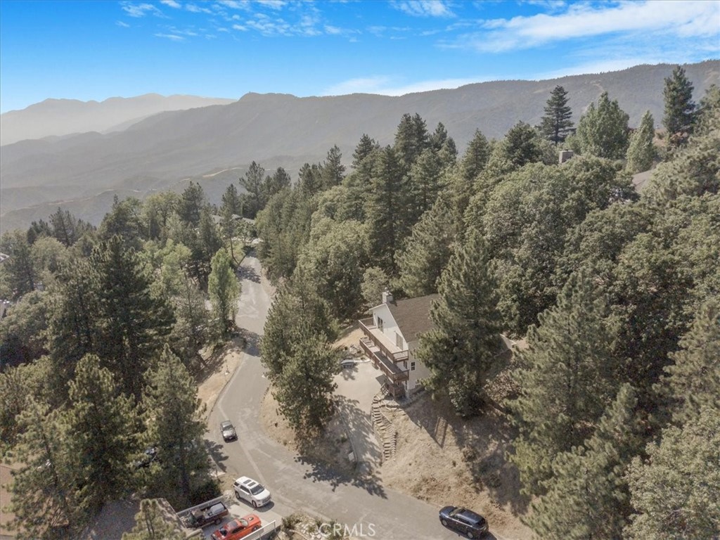 30134 Enchanted Way Running Springs, CA 92382 - Photo 4 of 46