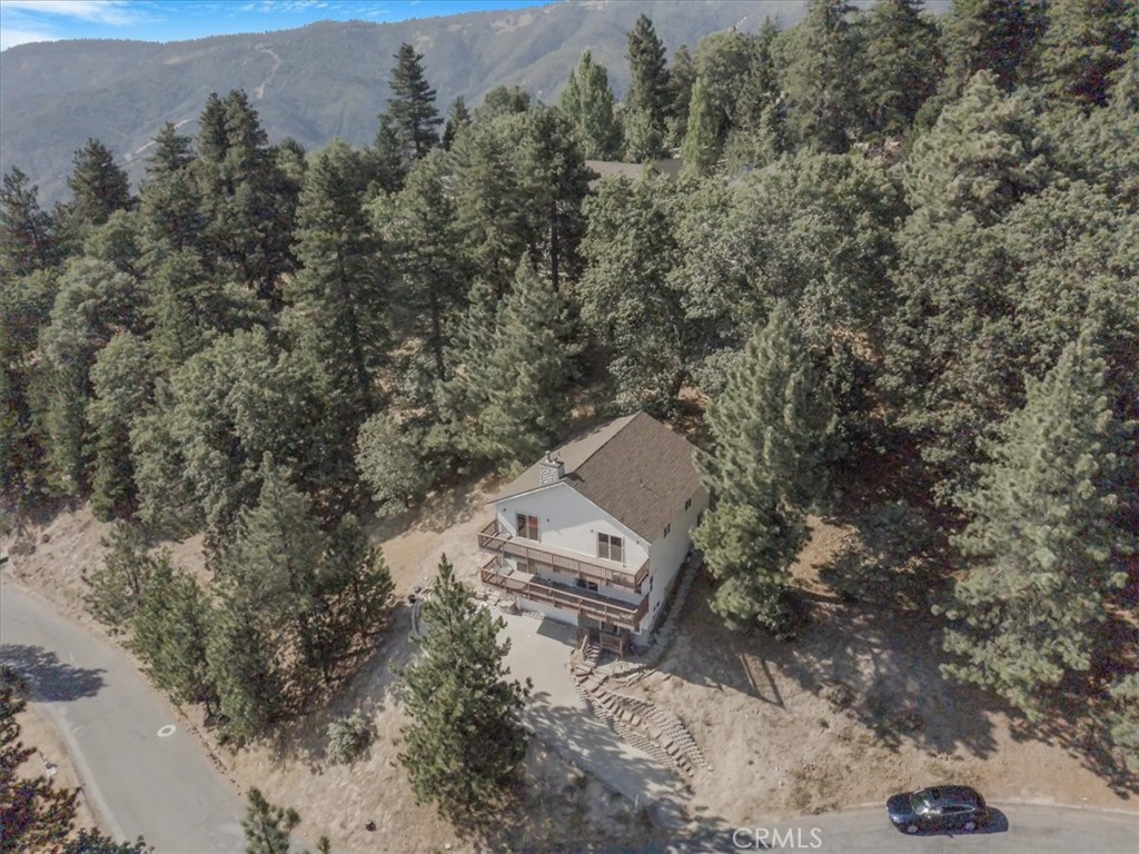 30134 Enchanted Way Running Springs, CA 92382 - Photo 5 of 46