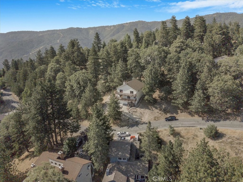 30134 Enchanted Way Running Springs, CA 92382 - Photo 6 of 46