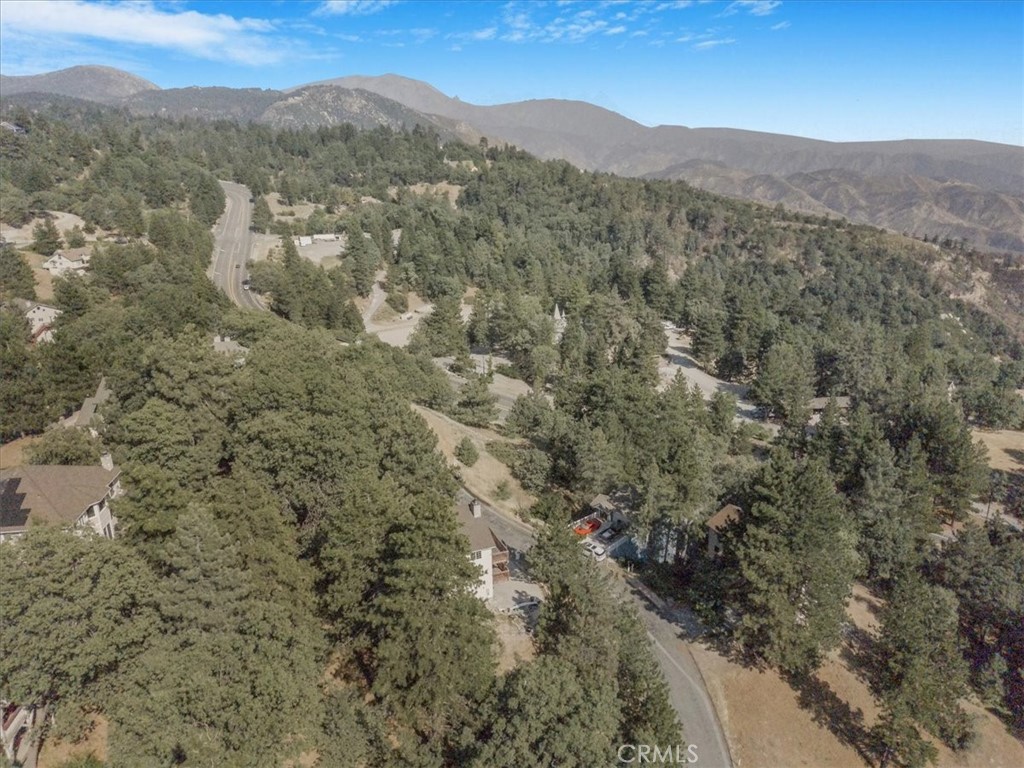 30134 Enchanted Way Running Springs, CA 92382 - Photo 10 of 46
