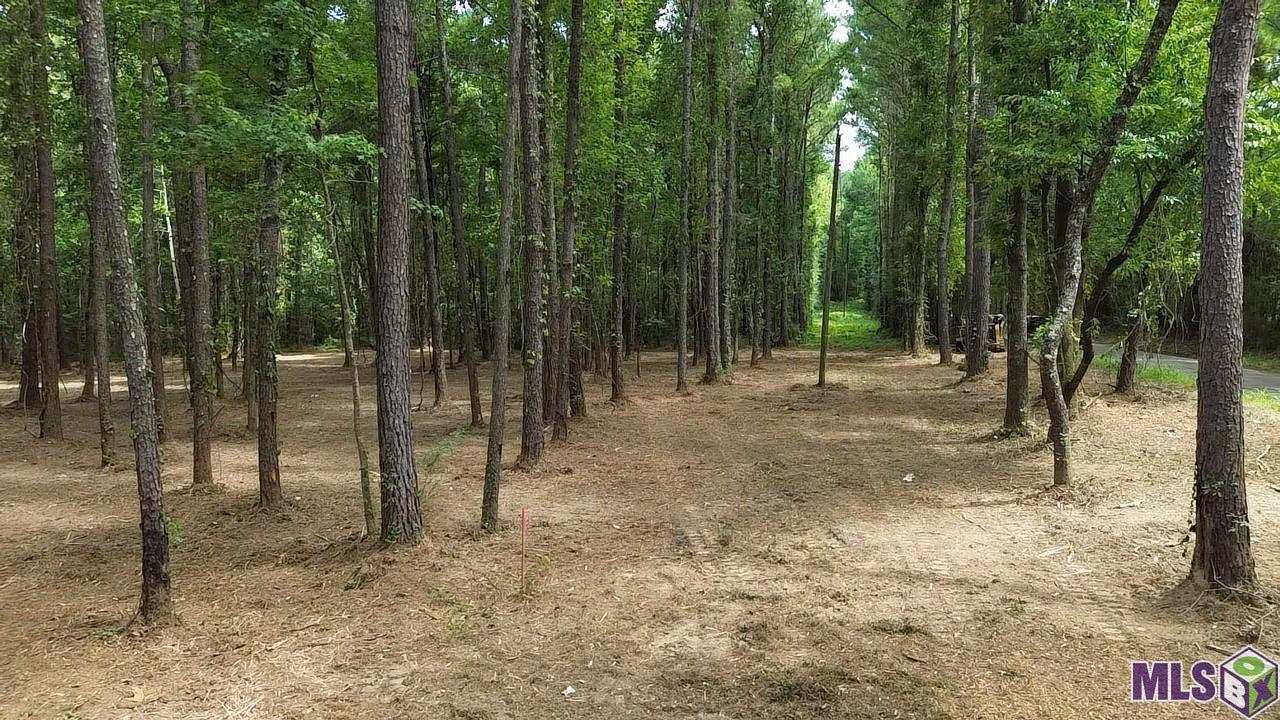 Tract X-1 Scott Barr Road Slaughter, LA 70777 - Photo 2 of 7