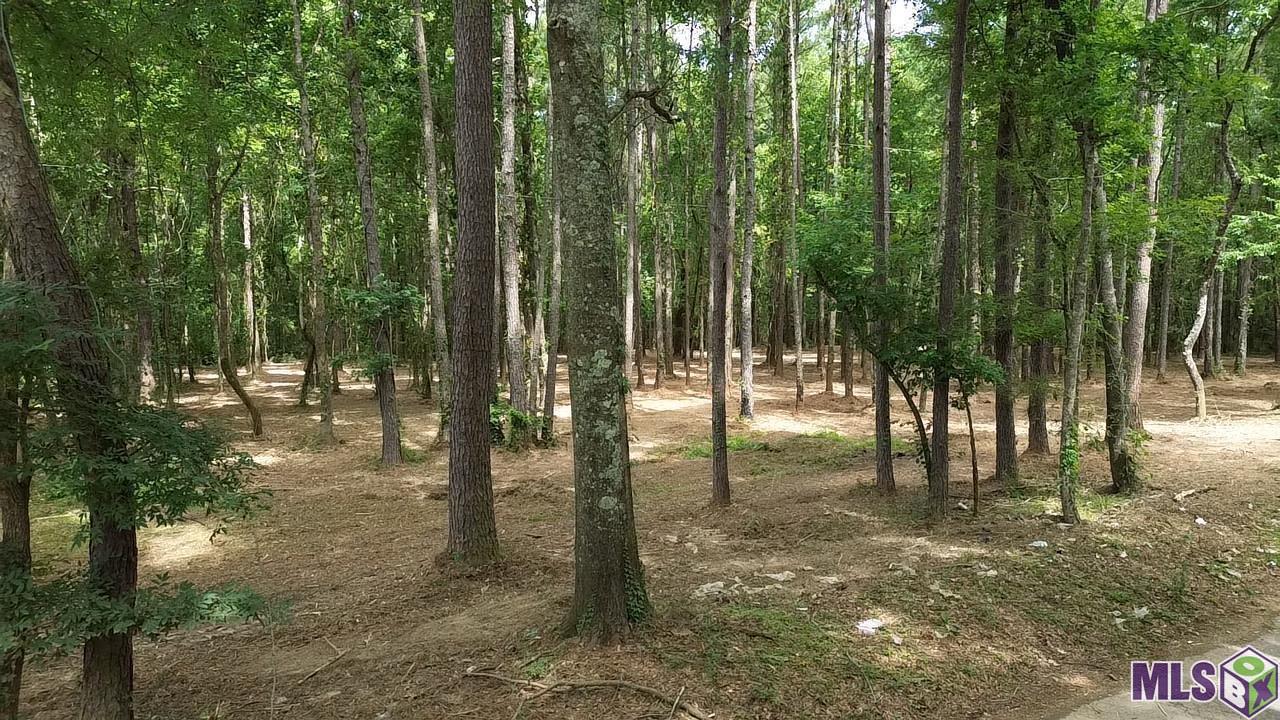 Tract X-1 Scott Barr Road Slaughter, LA 70777 - Photo 4 of 7