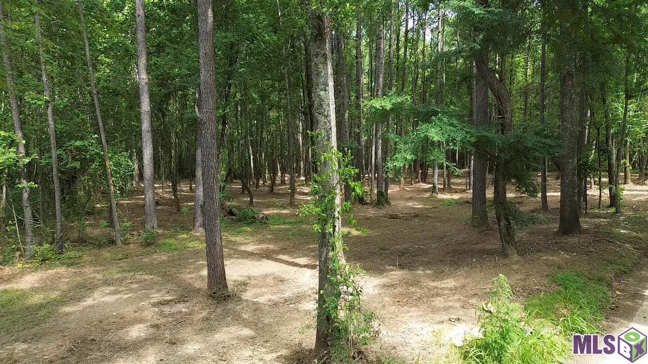 Tract X-1 Scott Barr Road Slaughter, LA 70777 - Photo 5 of 7