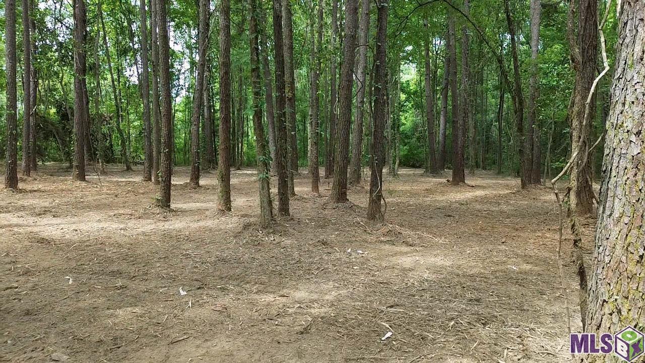 Tract X-1 Scott Barr Road Slaughter, LA 70777 - Photo 7 of 7