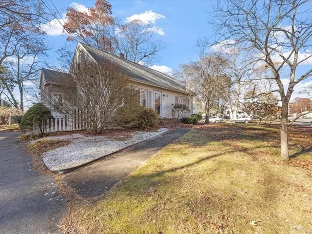 a view of road with large trees