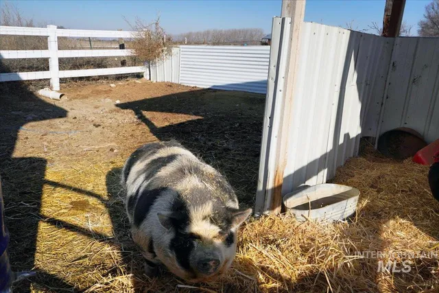 $1,050,900 | 2462 Succor Creek Road, Homedale, ID 83628