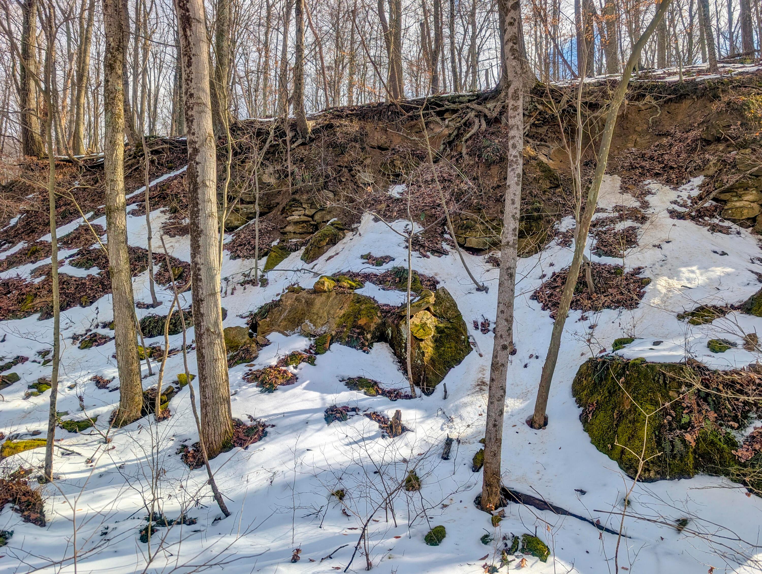 15 Peaker Run Road Macksburg, OH 45746 - Photo 32 of 36 Tract 15_TD-14